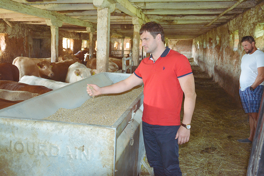 ������ ������� ������